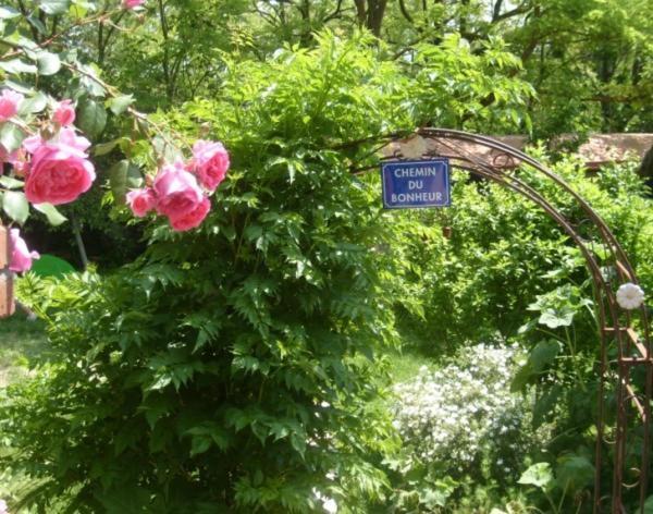 La Chambre D'Hote Au Gre Du Temps Montlaur  エクステリア 写真